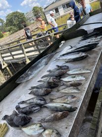 6hr bottom and trolling