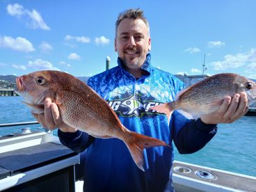 Coromandel Peninsula Report Photo 4