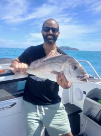 Coromandel Peninsula Report Photo 3