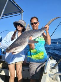 Majestic beasts of the ocean  