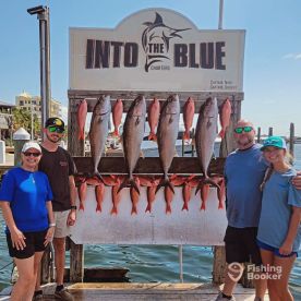 Amberjack Season Sept 2025