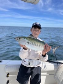 Bonito fiahibg still kickin