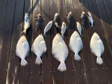 September Inshore trips