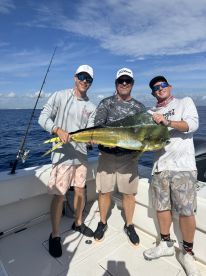 Mahi mahi !!!