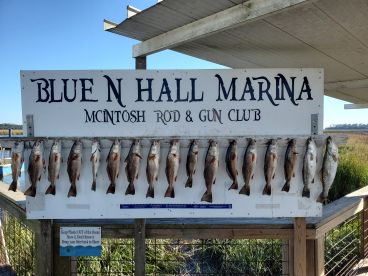 Attention Fishing report Sept.  Bite hea