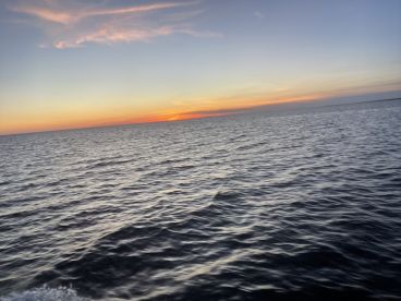 Steinhatchee Report Photo 2