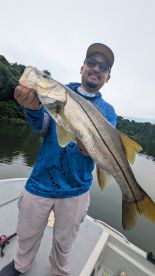 Raining season on fire