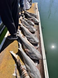 Richmond Report Photo 3