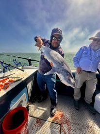 Richmond Report Photo 2