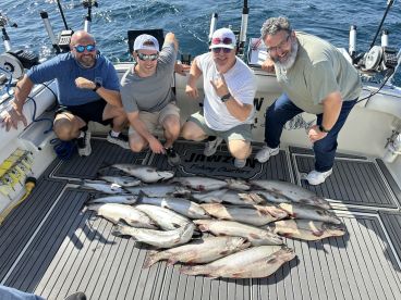 Waukegan Report Photo 1