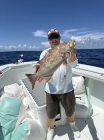 Gag Grouper