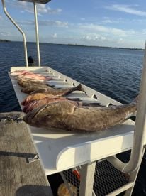 Gag Grouper Opening Day