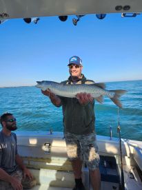 St. Clair Shores Report Photo 2