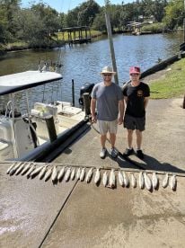 Stocking the freezers