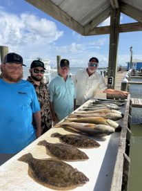 Bull reds are chewing! 