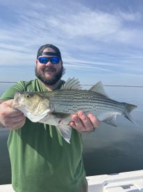 Quinlan Report Photo 1