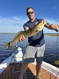 Panacea Report Photo 3