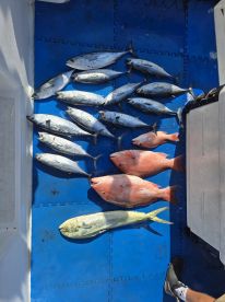 8hr a littel trolling and sight fishing 