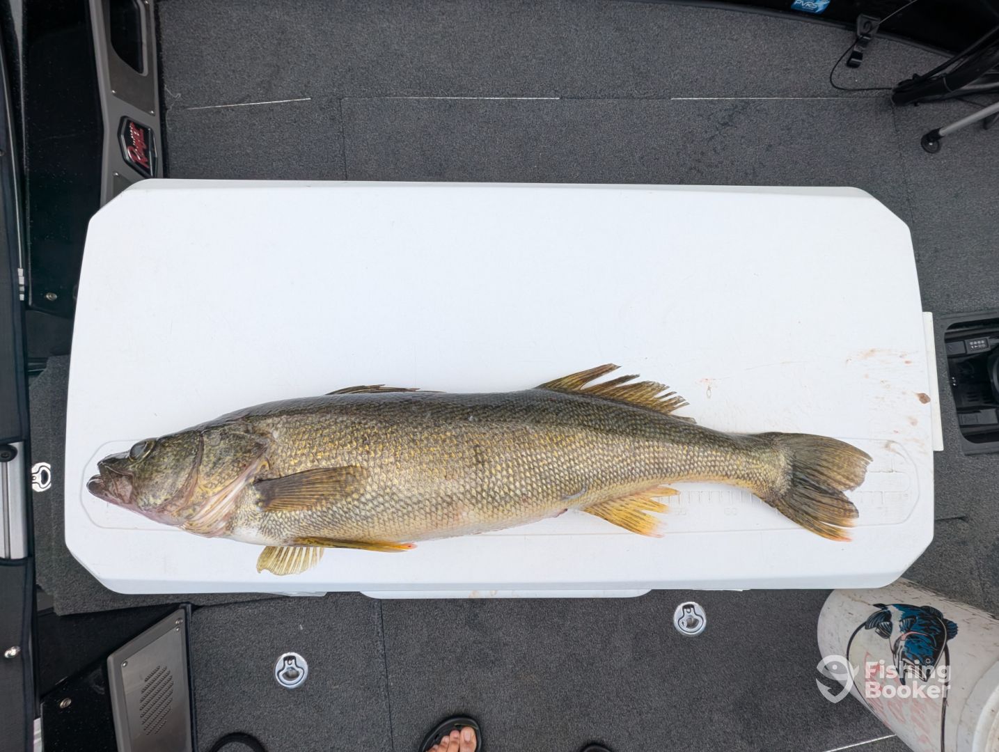 Ashtabula County Report Photo 0