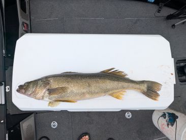 Cuyahoga County Report Photo 2