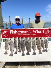 Boatload of Black Drum!