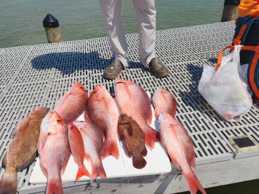 Pensacola Bay Report Photo 3