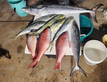 Pensacola Bay Report Photo 2