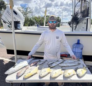 Fishing with Flipper