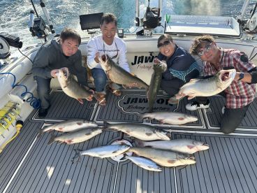 Lake trout are on fire 