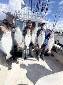 LIMITS for fishSFbay again!