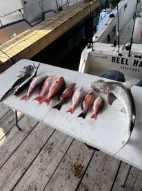 Houston Report Photo 1