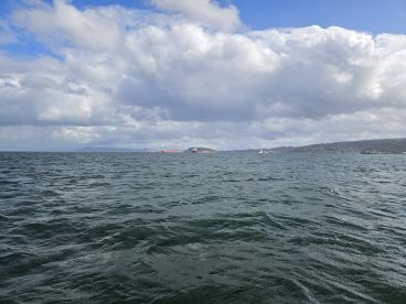 We beat the weather and found the fish!