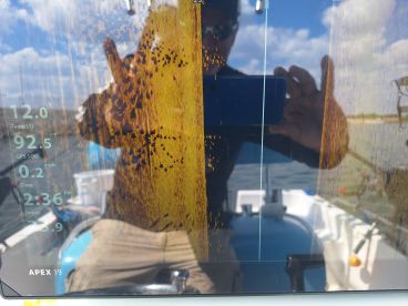 San Antonio Report Photo 2