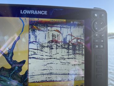 Westminster Report Photo 2