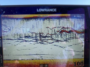 Westminster Report Photo 3