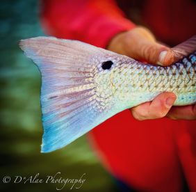 Red October is off with a bang!