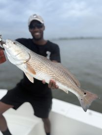 Savannah Report Photo 2