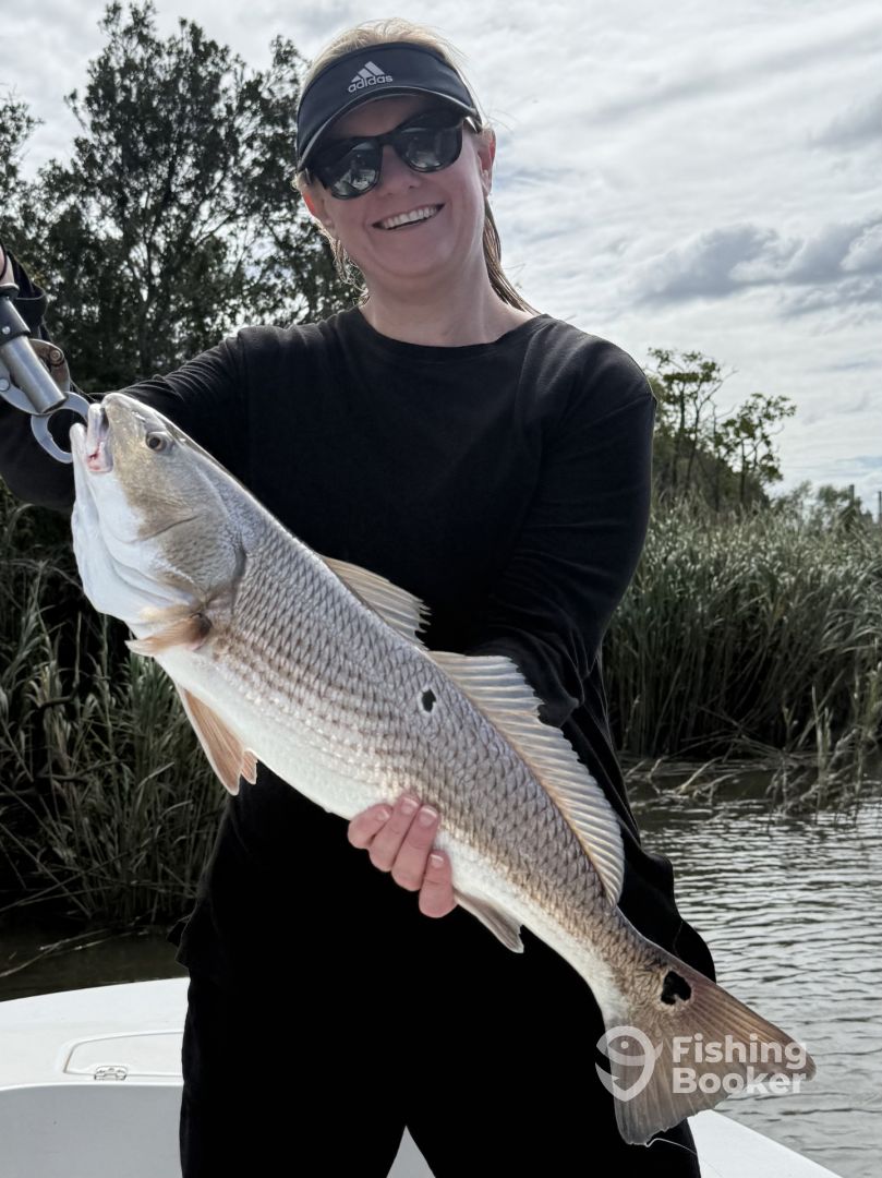 Savannah Report Photo 0