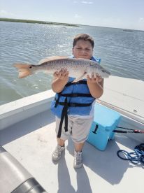 Drag pulling afternoon