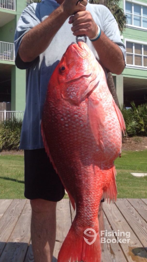 Orange Beach Report Photo 0