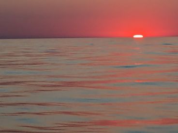 Richland Report Photo 1