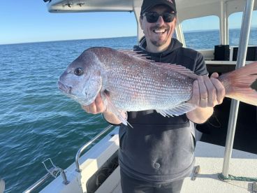 Snapper Season