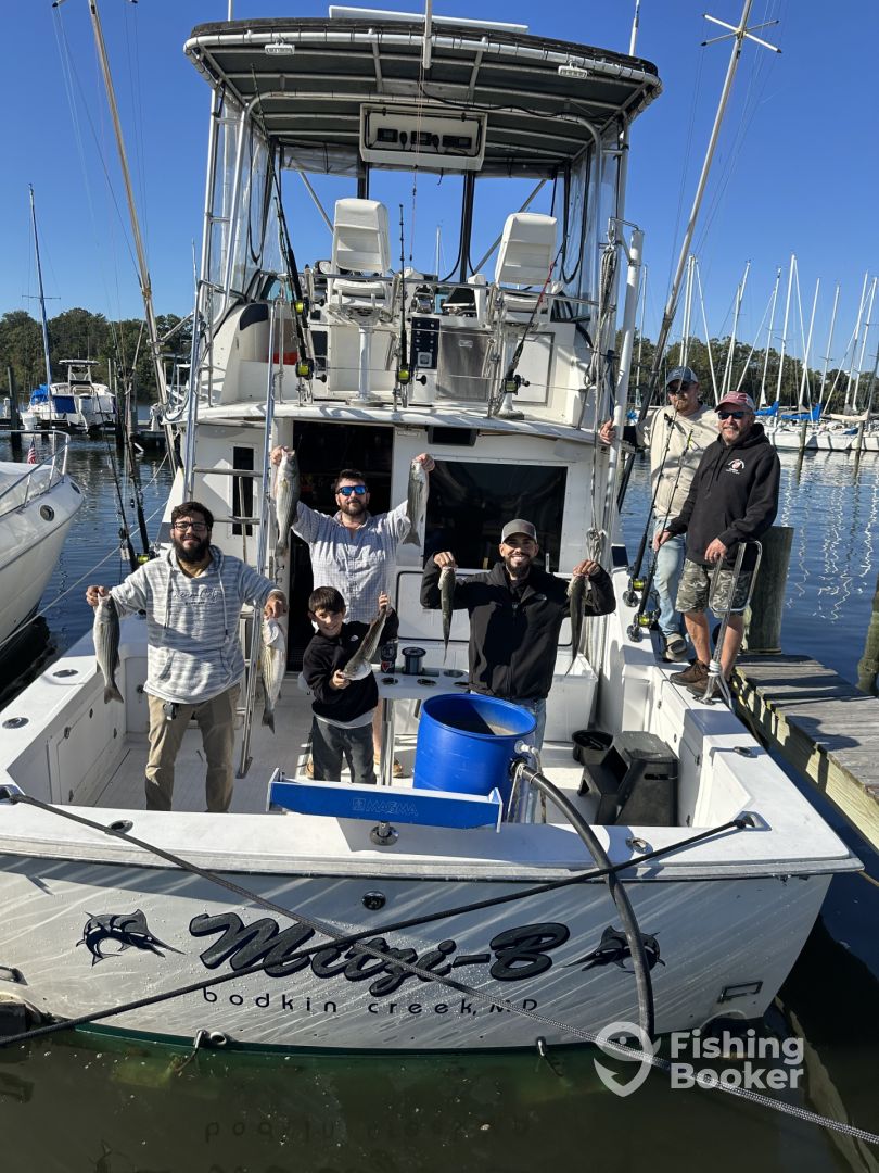 Pasadena Report Photo 0