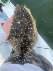 Inshore Fishing Report