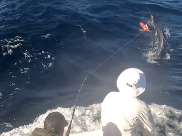 Ambition Report 6th.October’25