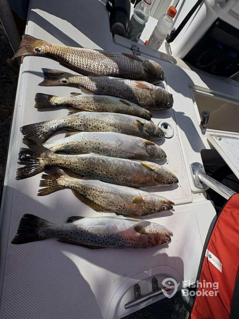 Carrabelle Report Photo 0