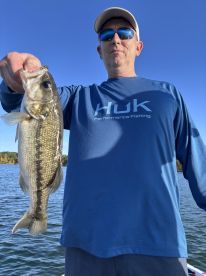 Branson Report Photo 2