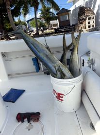 Big Pine Key Report Photo 2