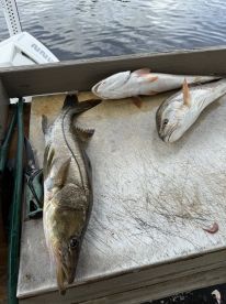 Been a great october!