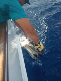 October means Destin Fishing Rodeo !